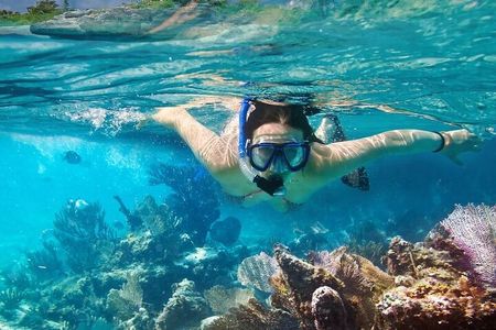 4 Hours Private Tour with Snorkel Experience in Roatan