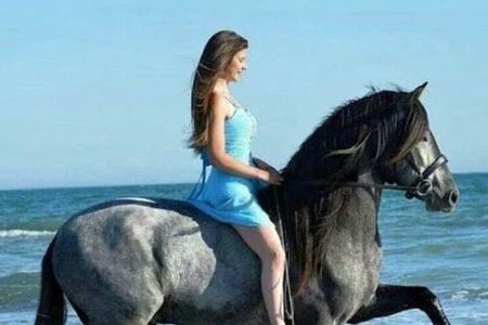 2-Hour Desert & Seaside Horse Ride in Sharm El-Sheikh