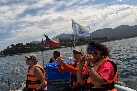 Penguins Watching Navigation Cachagua Island & Lunch From STGO