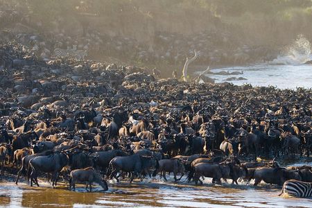 4 Days in the Wild: Explore Cultural Tour, Serengeti & Ngorongoro