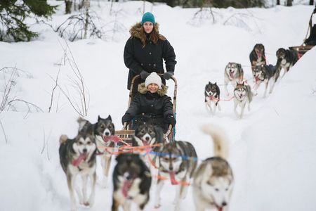 Arctic Husky Adventure in Rovaniemi