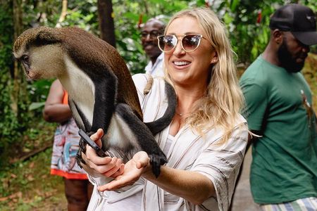 Private Full-day Tour in Grenada with Pickup