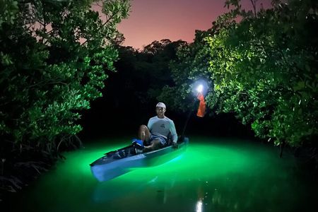 Naples Guided Sunset Kayak Tour Activity