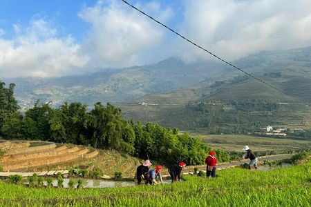 From Ha Noi: 3 Days and 2 Nights Sapa Trek with Local Guide