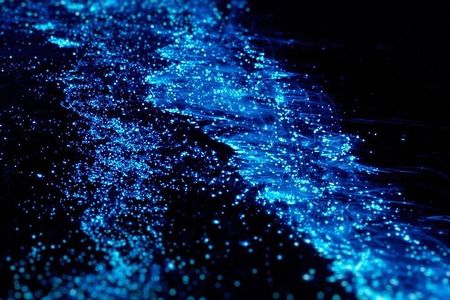 Sunset Tour of the Hong Islands with Bioluminescent Plankton