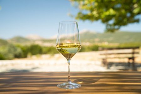 Kefalonia Wine Adventure with 18 Wine Tastings in 3 Wineries
