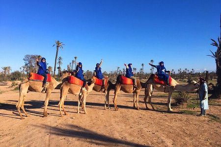 1 hour Shared Camel Ride in Palmeraie