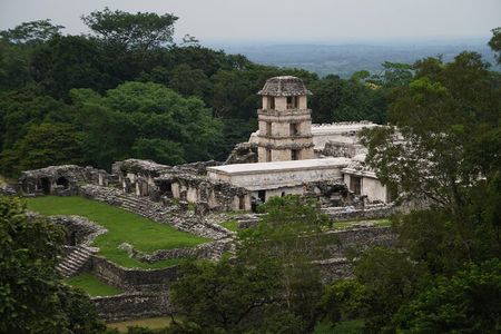 Tour in the Archaeological Zone of Palenque With Guide Included