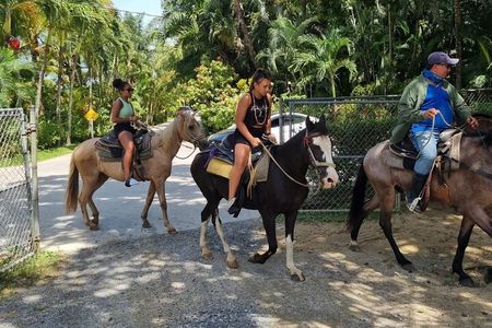 Horseback Riding, Zipline, Eco Park Adventure in Roatan