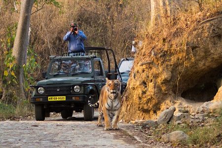 Dhikala Forest Rest House Night Stay in Jim Corbett National Park