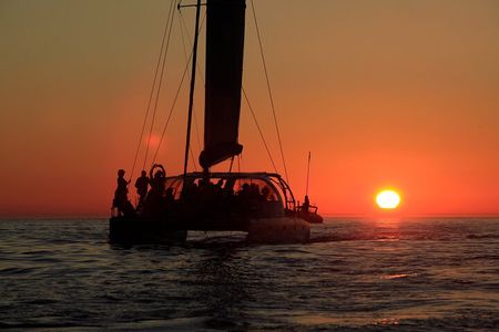 Cape Town Sunset 90 minutes with Escape Cat