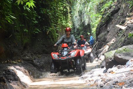 Affordable ATV Quad Bike Adventure In Ubud