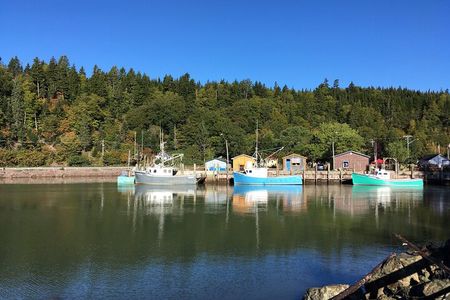 Private Sightseeing Tour In Saint John