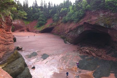 Private Sightseeing Tour In Saint John