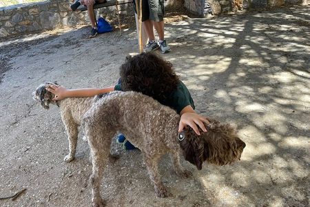 Truffle Hunting, Culinary & Wine Celebration from Elounda
