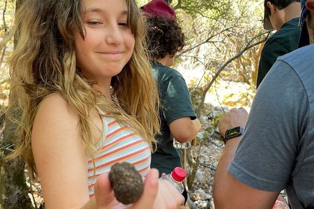Truffle Hunting, Culinary & Wine Celebration from Elounda