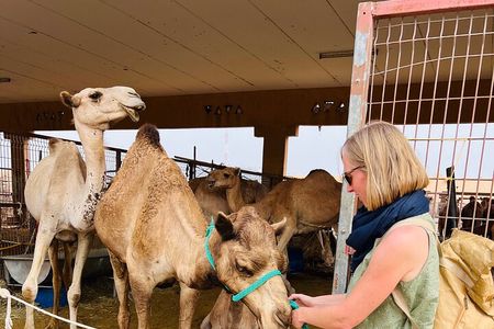 Full Day Al Ain City Tour with Lunch 