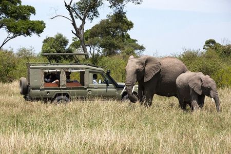  3 Days Safari Tour to Serengeti National Park