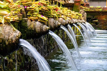 Ubud Bali: Rice Terrace, Waterfall and Tirta empul Day Tour