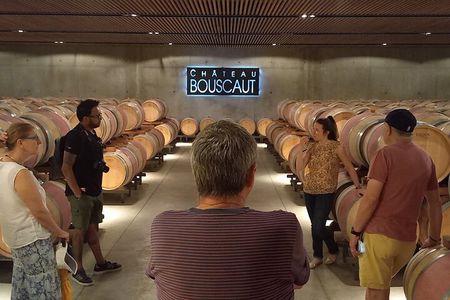 Bordeaux wine tour: 2 wineries (red & white wine)

