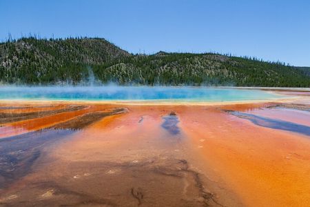 Best of Yellowstone Nat'l Park Tour from Paradise Valley
