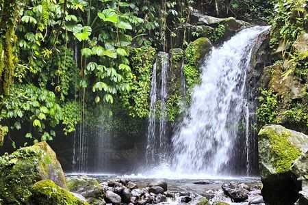 Jungle Trekking at Mt. Batukaru, scenic Waterfall & village life