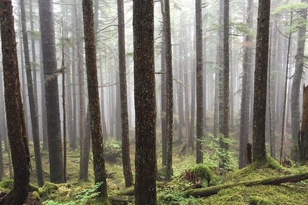 Icy Strait Village Tour and Crab Feast