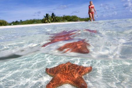 Full day tour to El Cielo in Cozumel Snorkeling and Lunch 