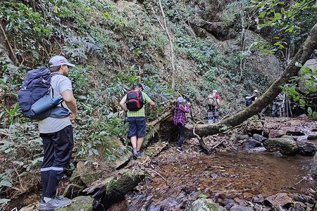 Full Day Doi Saket Hiking Tour