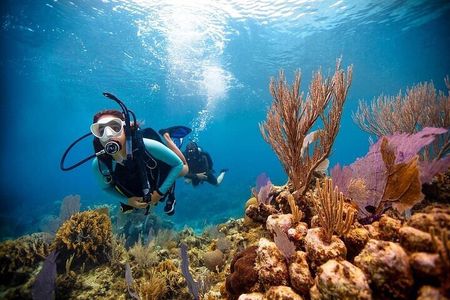 Discover Scuba Diving Experience in Dubai with Transfers Option