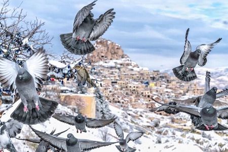 Explore Cappadocia’s Underground City – Private Tour by Mercedes