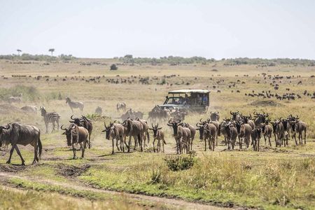 5 Days Tour Tsavo East and West Amboseli from Nairobi