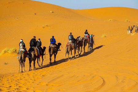 Desert adventure from Marrakech to erg chebe overnight in camp 