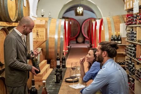 Montepulciano: Wine Tour with Tasting & Appetizers in the Cellar
