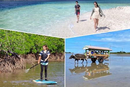 Iriomote 1 Day Mangrove SUP/Canoe, Barasu Island & Yubu Island 