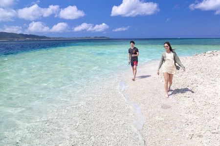 Iriomote 1 Day Mangrove SUP/Canoe, Barasu Island & Yubu Island 