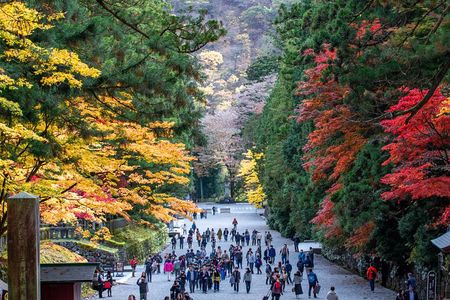Nikko Private Customizable Half Day Tour