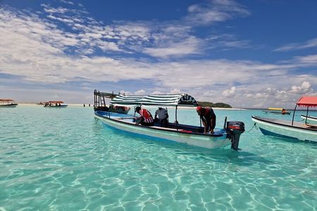 Mnemba Island Dolphin Tour and Stonetown Walking Tour