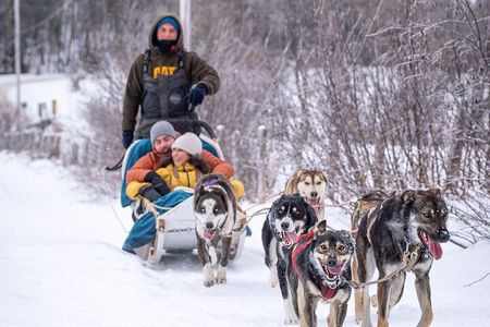 Ultimate Dog Sledding Tour