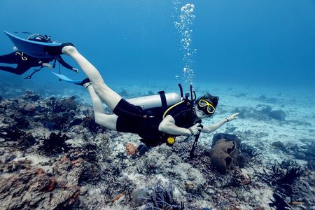 Certified Diving 2 Tanks in Cozumel