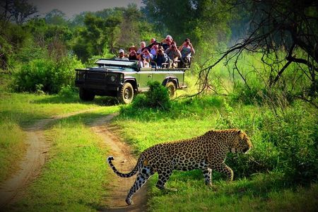 From Kathmandu: Private 3-Day Chitwan Safari Tour