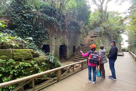 Yokosuka Adventure: Explore Uninhabited Island & Naval Cruise