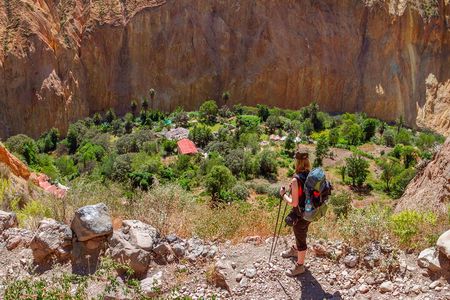 2 Days and 1 Night trekking Through Colca Canyon