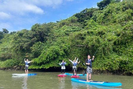Mangrove SUP in Okinawa