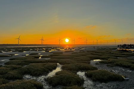 Trip from Taipei to Taichung Chung She Flower and Gaomei Wetland