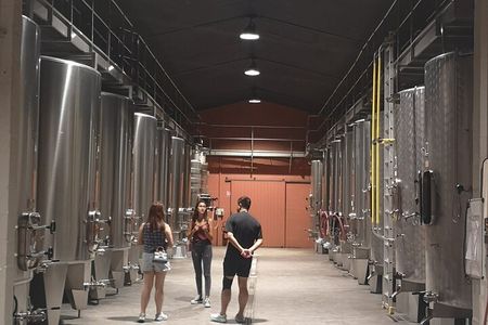 Half-day in the Médoc : 2 wineries & 6 wines
