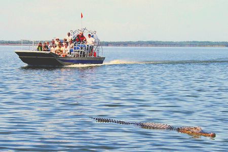 Everglades Airboat, Wildlife Show and free Photo
