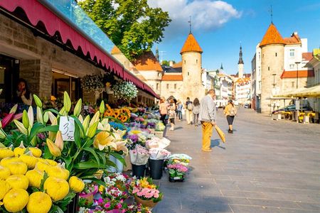 Best of Tallinn Private Tour