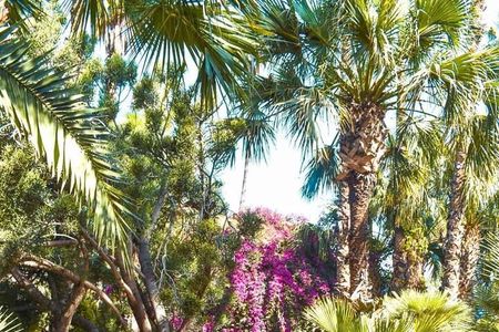 Majorelle Garden Experience: Ticket And Hassle-Free Transfers