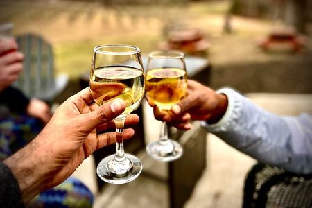 Elijay Hike w/ Waterfall & Wine Tasting Private Tour from ATL